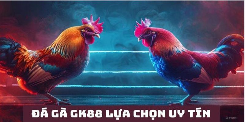 Đá Gà GK88 - Các Trận Đấu Kịch Tính Với Nhiều Chiến Lược Hay